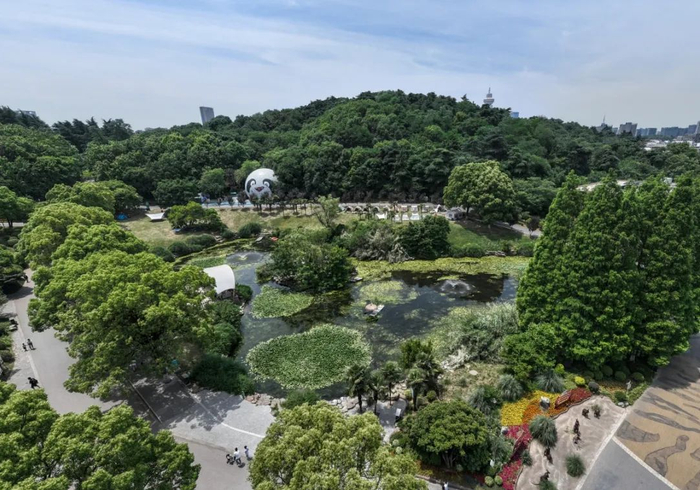 新华日报全媒体记者 邵丹 摄