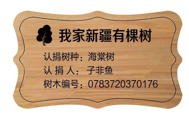 认养树木牌。