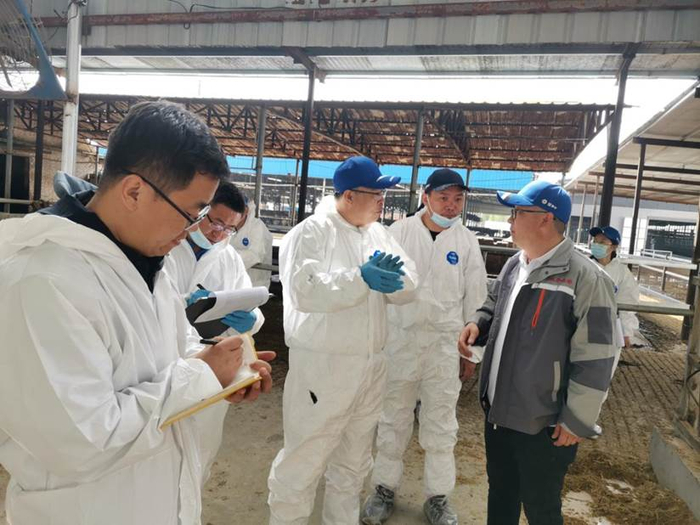 专家组与林华牧场负责人谷琳华（右）就奶牛饲喂管理进行交流