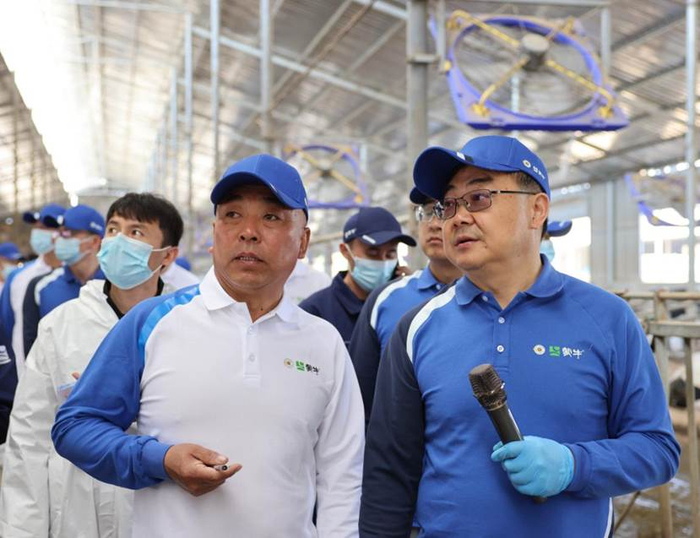 国家奶牛产业技术体系首席科学家李胜利（右）与军海畜牧养殖场负责人李庆新（左）就泌乳牛舍管理进行交流