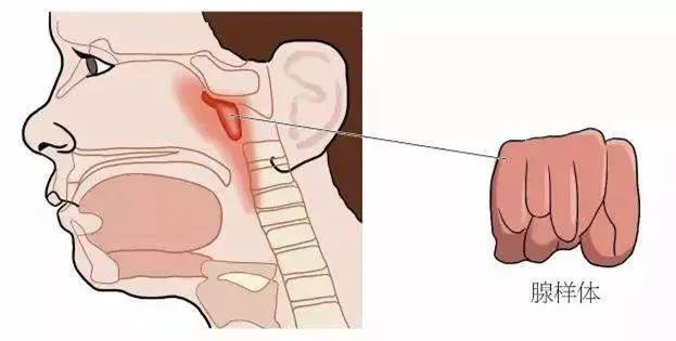 （图片来源：“北京大学第三医院”微信公众号）