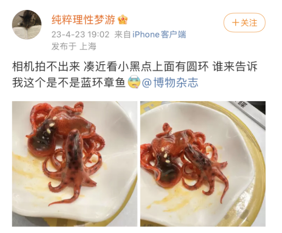 网友@纯粹理性梦游微博截图