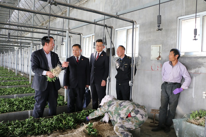 检察官走访茶产业链链上企业,问需求、送服务。