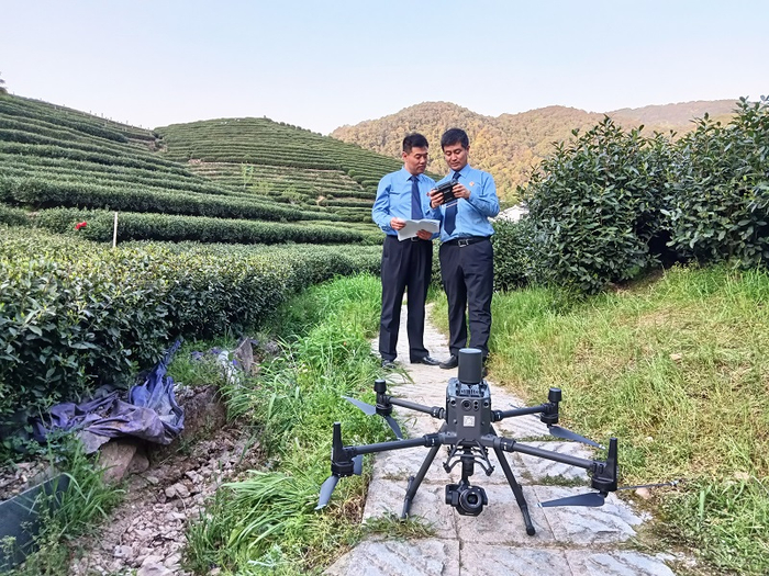 检察官在茶园利用无人机进行调查取证。