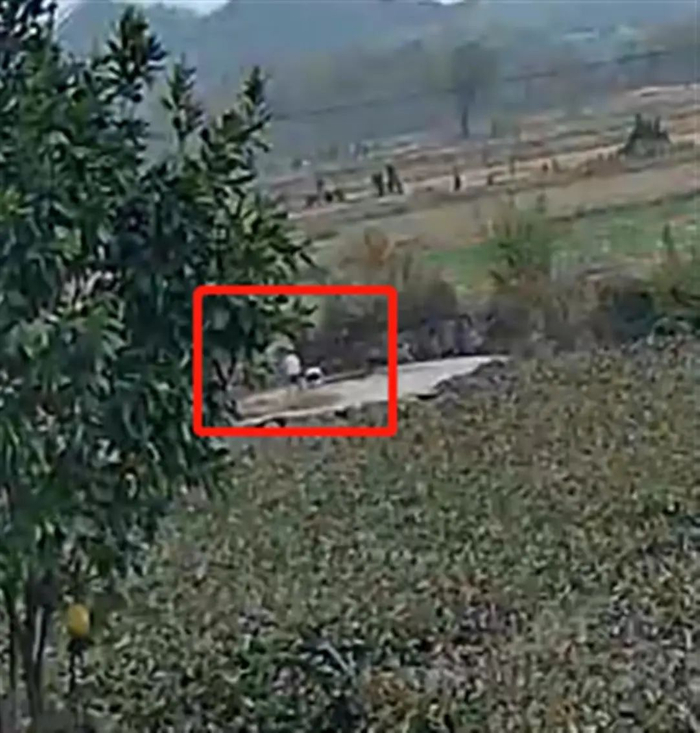 小妍妍被推入井中（监控录像截图）