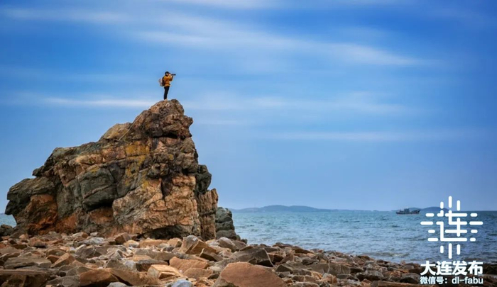 ▲平岛辽参小镇生态旅游景区