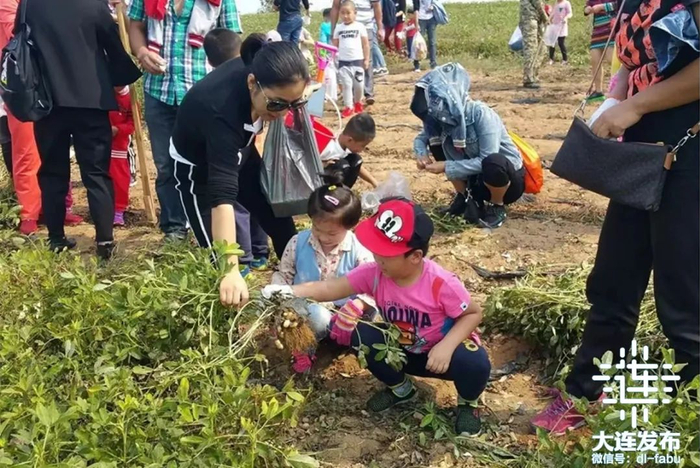 ▲龙德李生态园