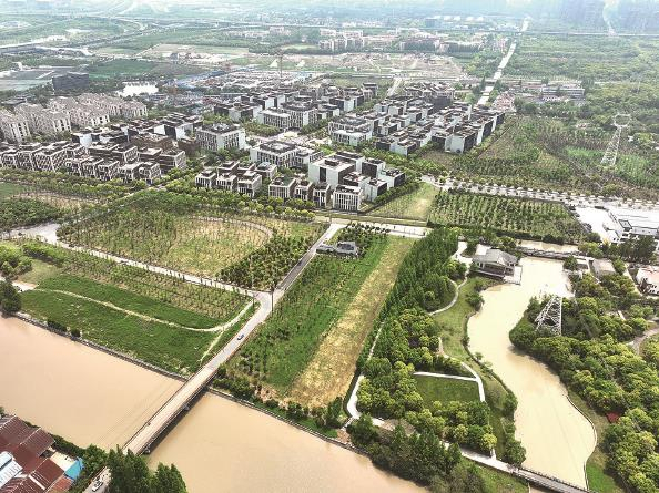 北蔡将现“城市森林”_手机新浪网