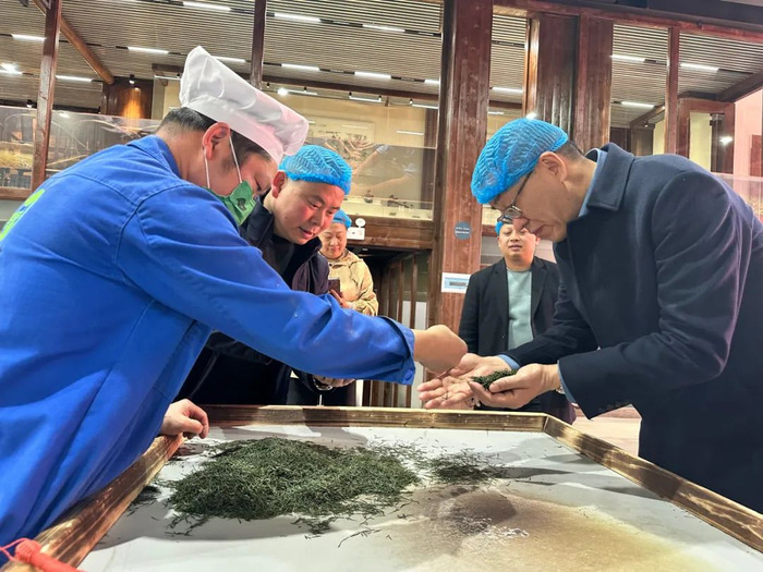 吴裕泰董事长赵书新（右一）前往产地