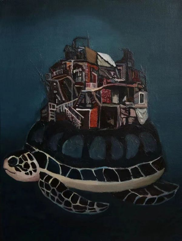 徐X骋涉嫌抄袭的作品《龟房》