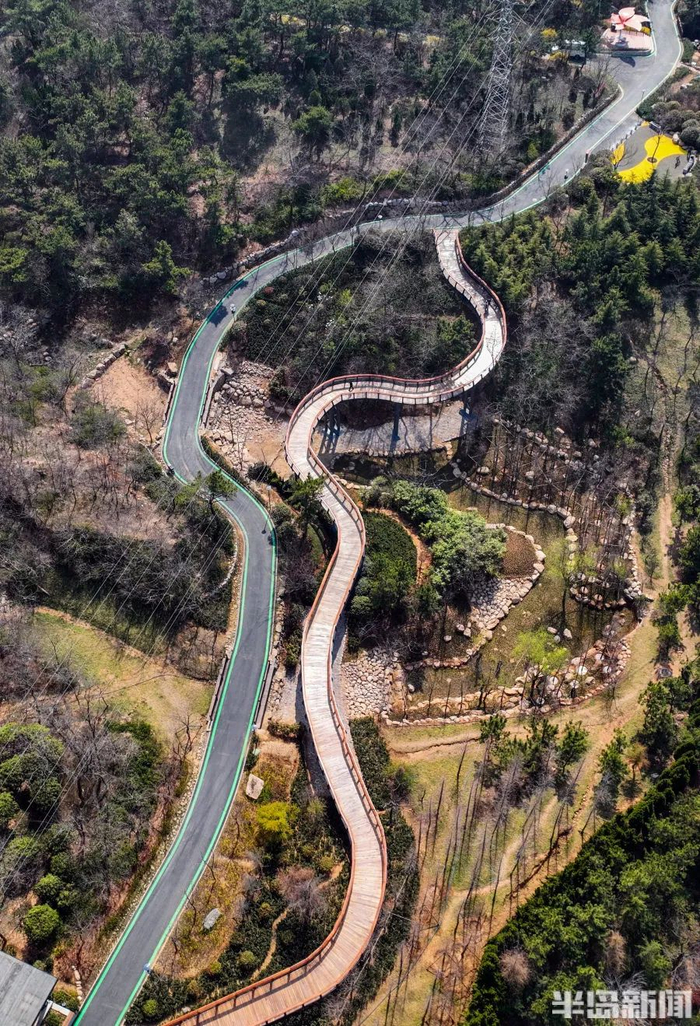 浮山多处造型蜿蜒曲折的架空木栈道