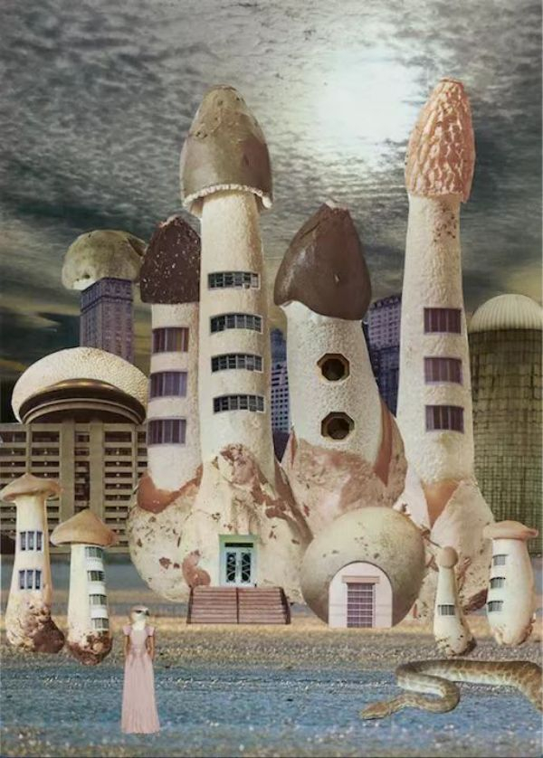 英国艺术家Seana Gavin的作品