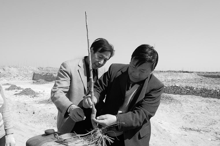 　　刘金国（右）带领群众开垦荒坡种植苹果树，耐心为果农讲解种植技术。（资料图片）