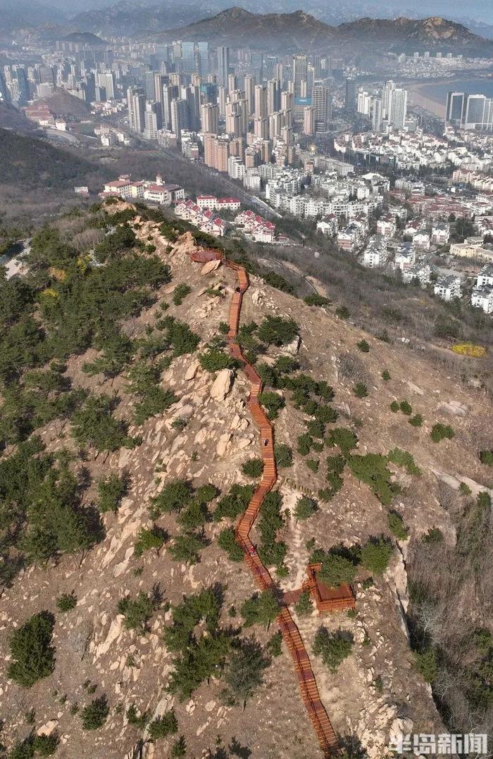 浮山森林公园的观海木栈道