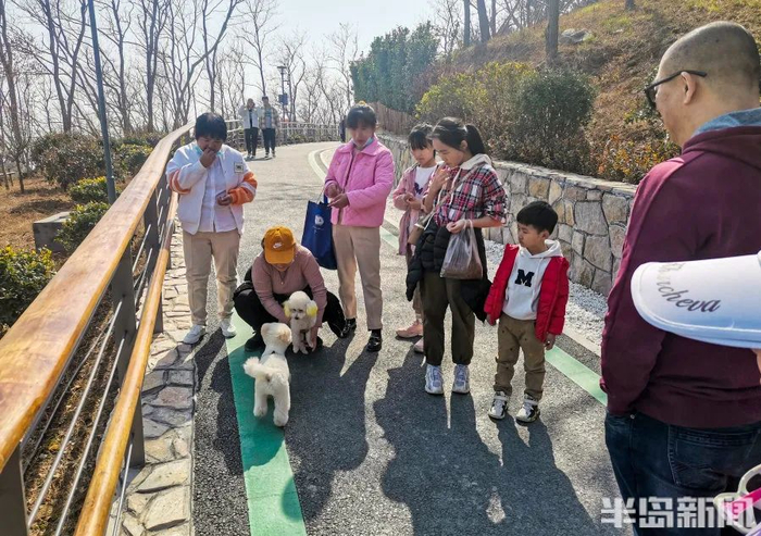 不少市民前来休闲游玩