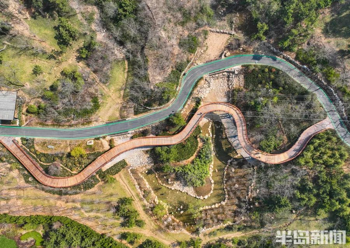 浮山多处造型蜿蜒曲折的架空木栈道