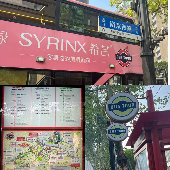 BUS TOUR观光巴士的车辆、站点及路线图。