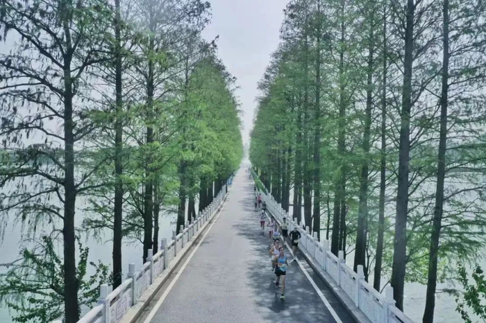 东湖绿道（图片来源：长江日报）