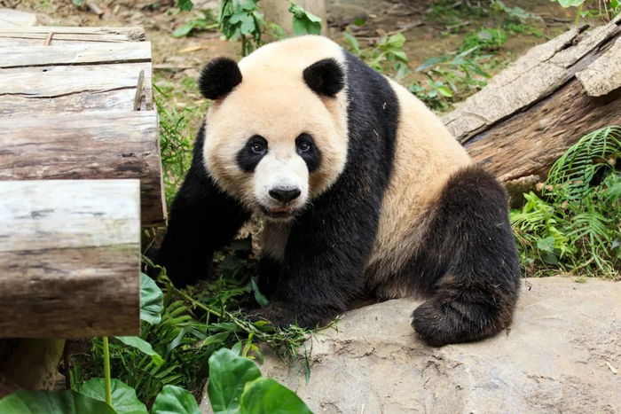 图库版权图片，不授权转载