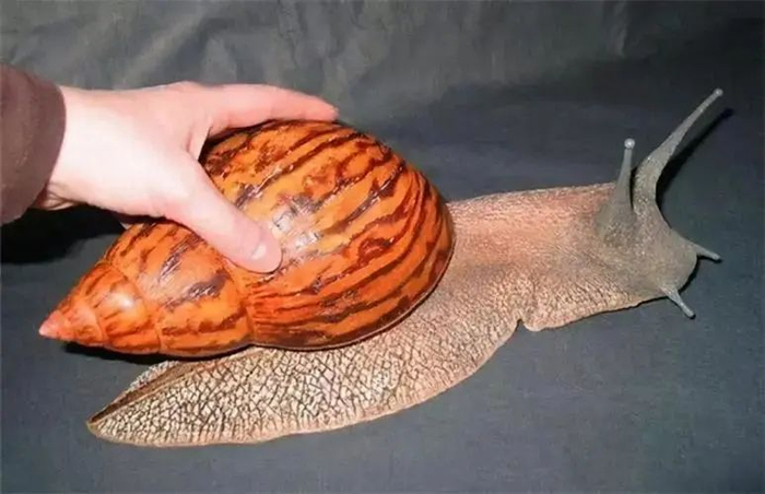 "硫酸泼熊" 的清华学子,已成为中科院副研究员