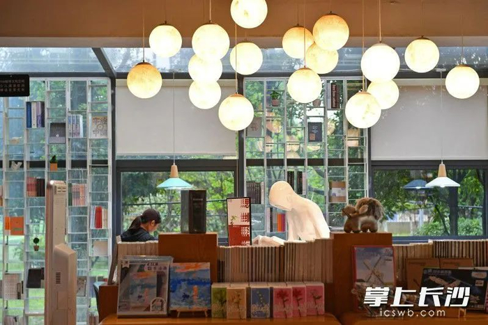 乐之书店天心店。资料图片