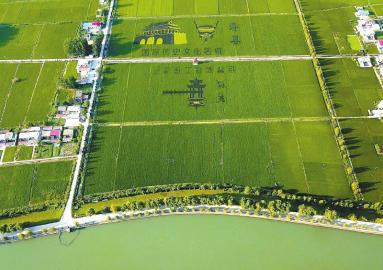 芍陂西北角。　　安丰塘水库管理处供图