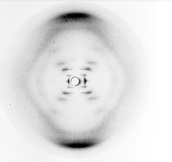 “照片51号”（Photograph 51） 图片来源：伦敦国王学院档案馆/《自然》网站