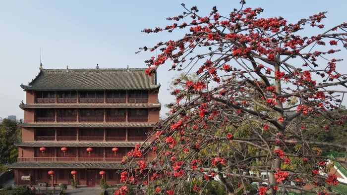 广州博物馆。资料图