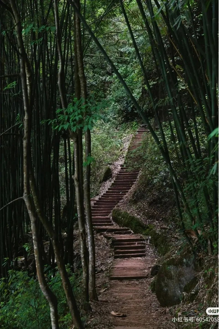 图源：荷染午后