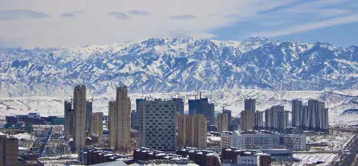 一场大雪过后，校内的雪景。