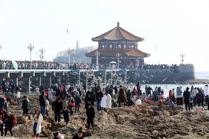 青岛早报记者 杨博文 摄