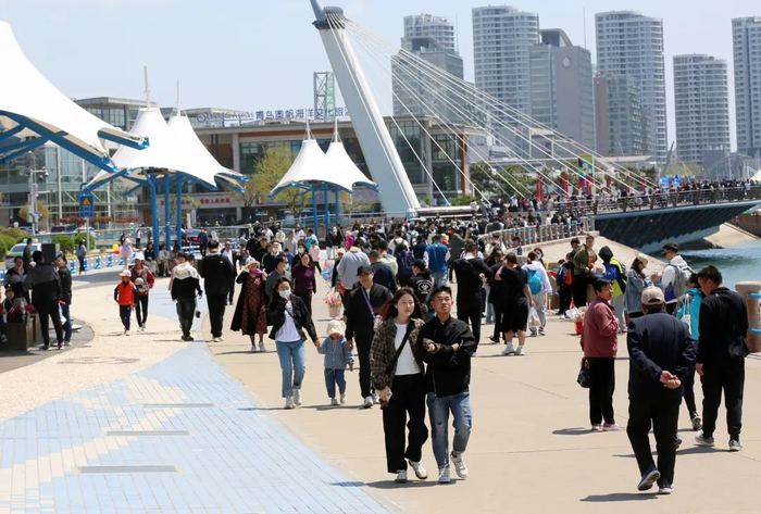 青岛早报记者 杨博文 摄