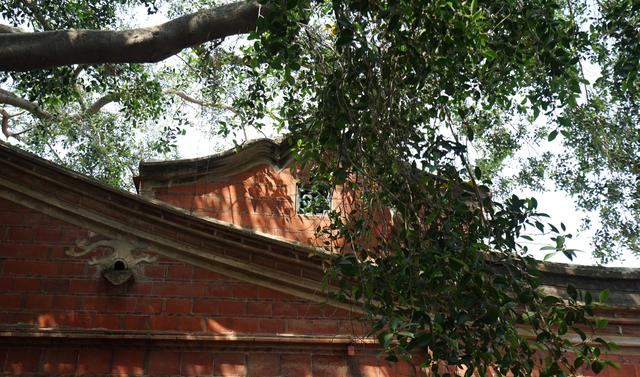 梧林村的红墙。澎湃新闻记者 钱成熙 图