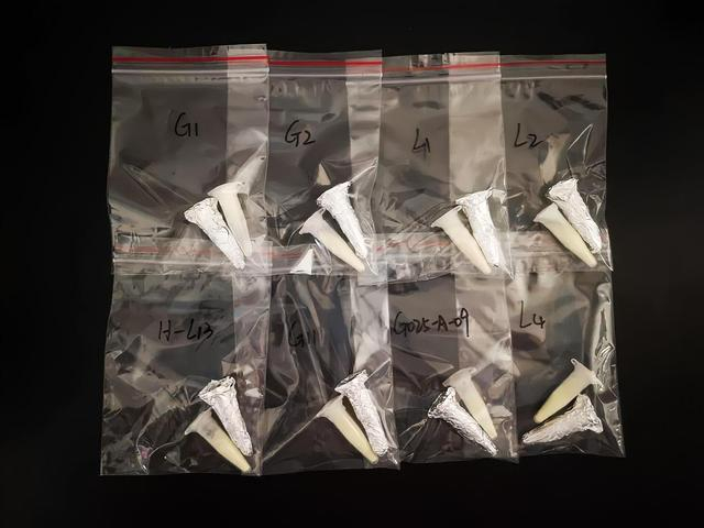 随神舟14号探访太空的专利菌株，受访者供图。