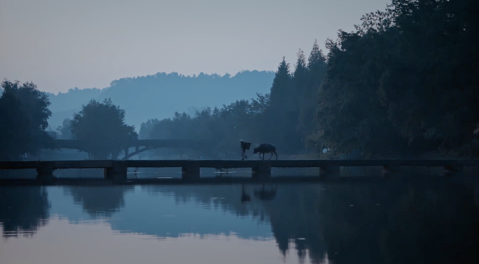 图源：看见邛崃