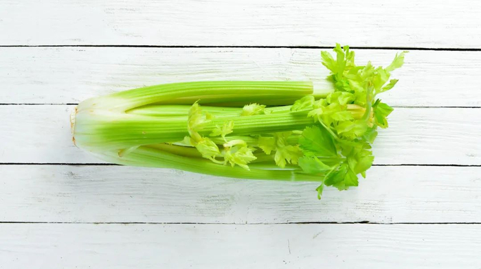 图库版权图片，不授权转载