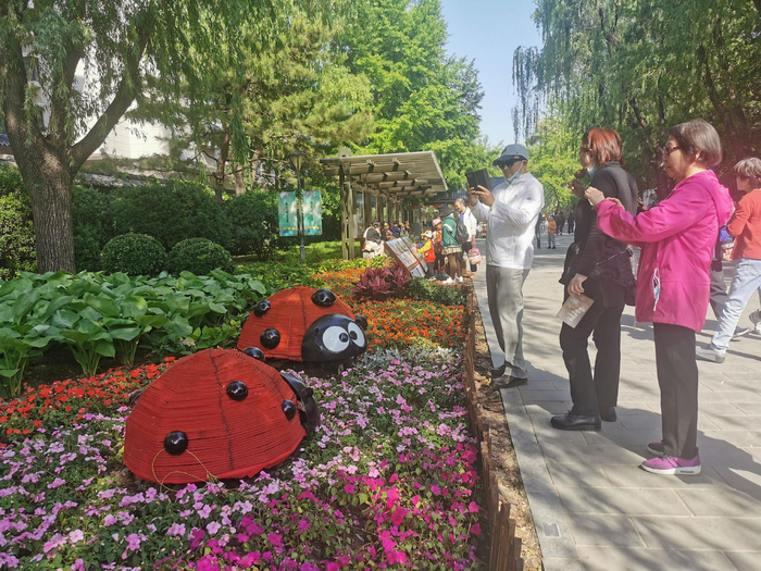 游客为“林下好朋友”花境拍照。受访者供图