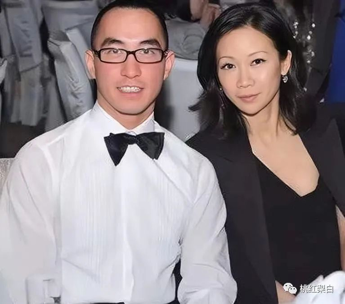 罗秀茵是多家企业的股东，至2020年，罗秀茵持有新濠国际0.28%的股份 ，并持有澳能建设股份2.4亿股