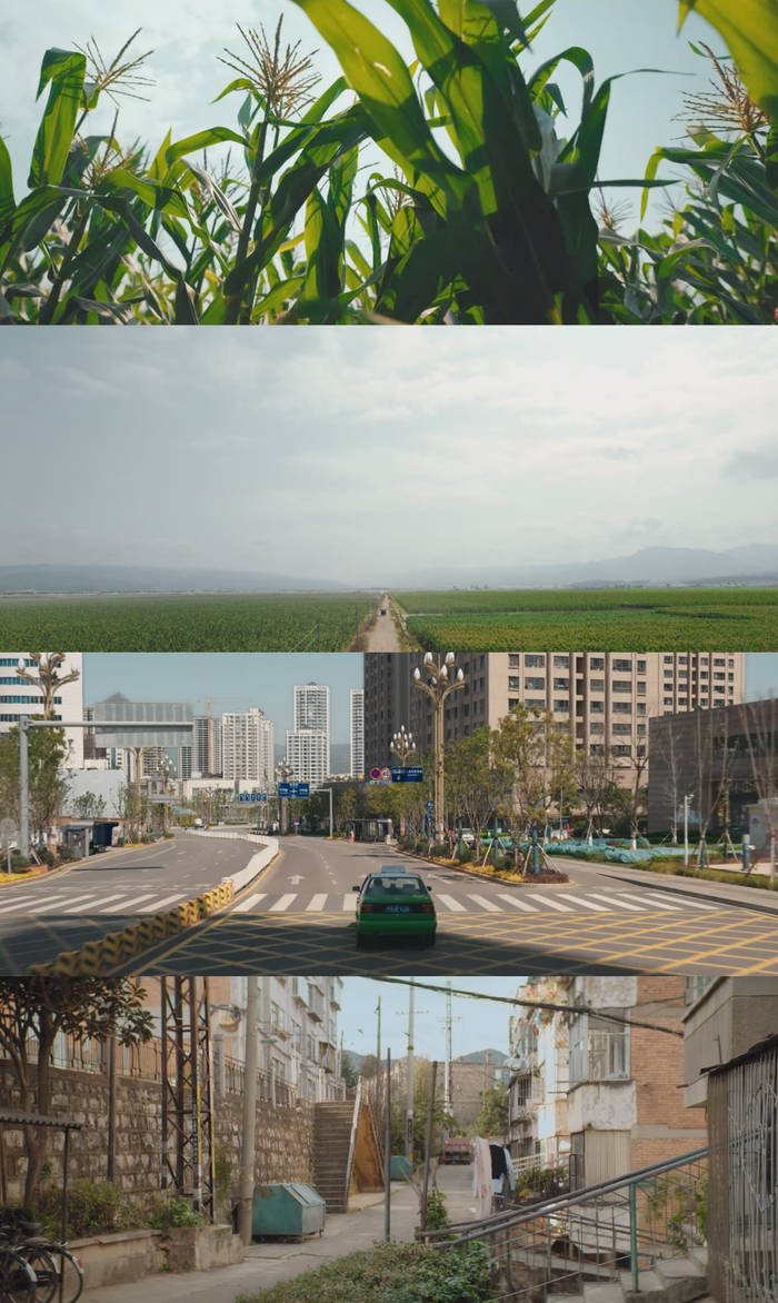 东北故事就不只有冰天雪地的白色，也有着琥珀般的金黄色。