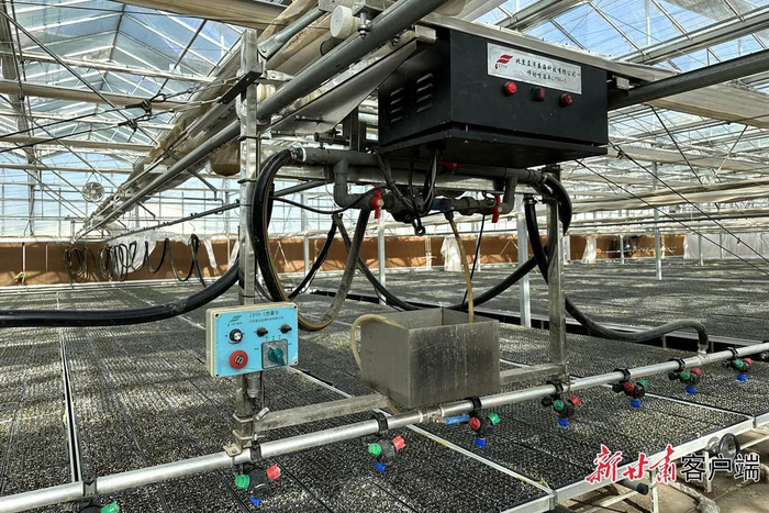 中以（酒泉）绿色生态产业园育苗中心。