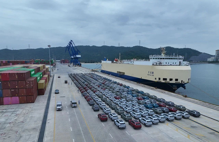 来源：微信公众号“深汕视点”