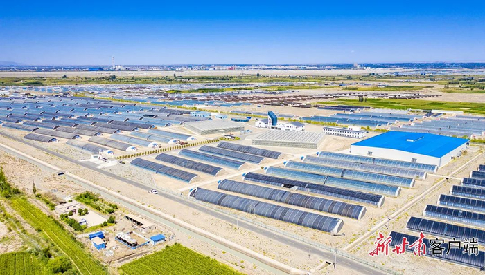 中以（酒泉）绿色生态产业园一角。