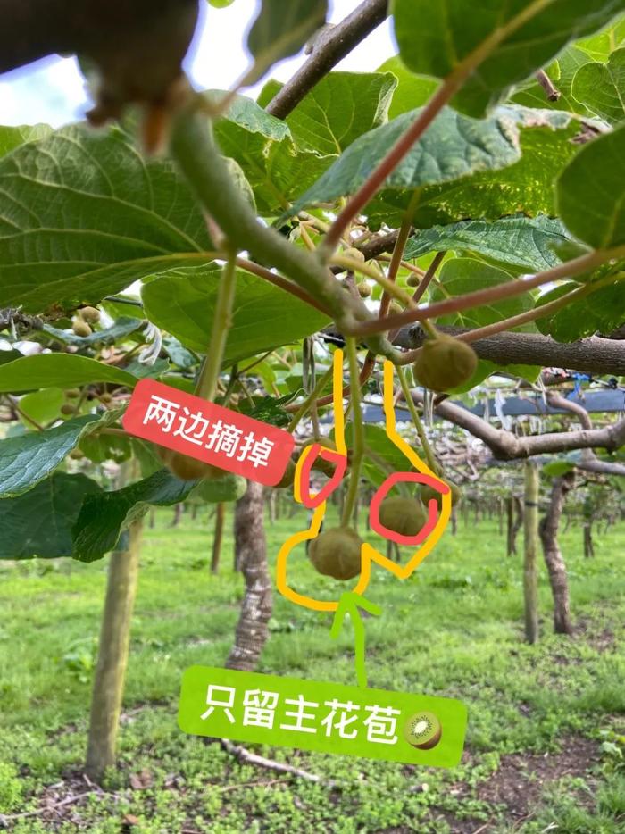 逃离狗屁工作，我去澳洲做快乐的日结工(去澳州打工挣钱吗)