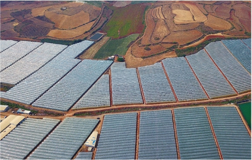 　　云南红河州建水县是全国最大的早熟夏黑葡萄基地，图为葡萄种植大棚。　段玉良　摄