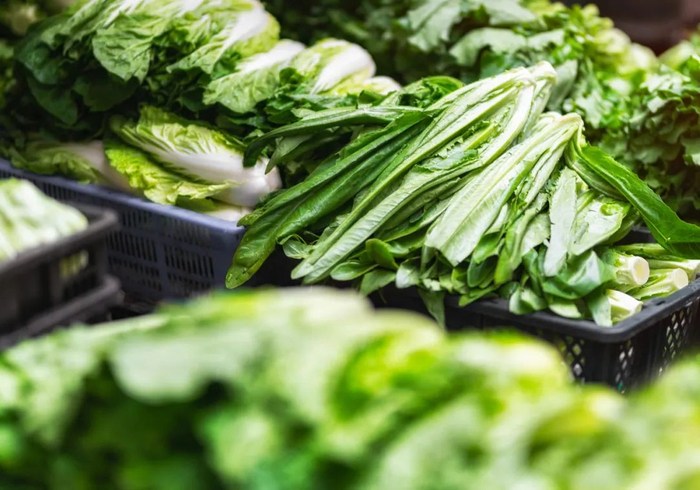 图库版权图片，不授权转载