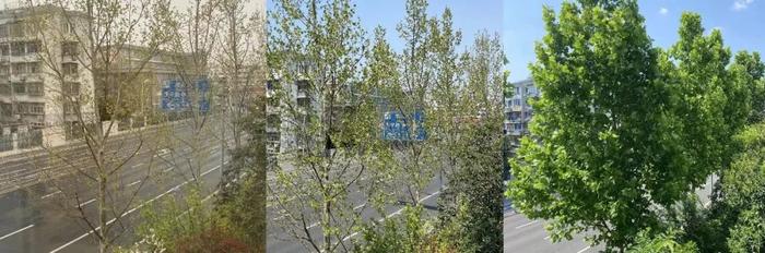 逃离狗屁工作，我去澳洲做快乐的日结工(去澳州打工挣钱吗)