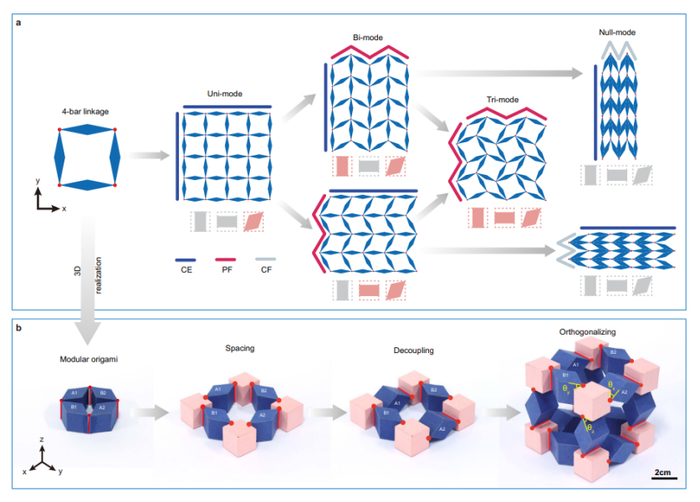 （来源：Nature Communications）