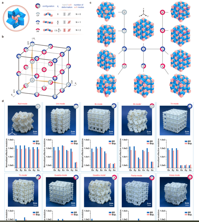 （来源：Nature Communications）