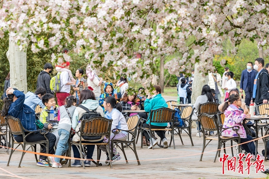 &nbsp;&nbsp;&nbsp;&nbsp;4月的北京动物园内，人们在露天休息区休息、交流、吃饭。林天羽/摄