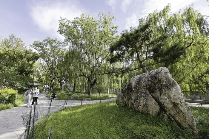 ▲不同的奇石成为园中景观